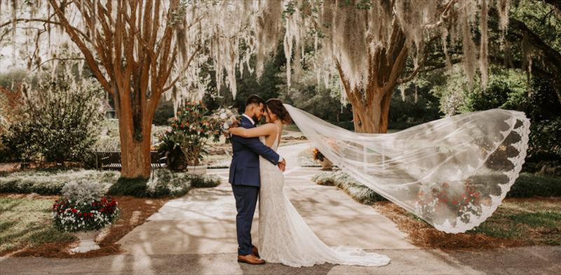 Harry P. Leu Gardens colorful flower beds with historic Leu Garden trees