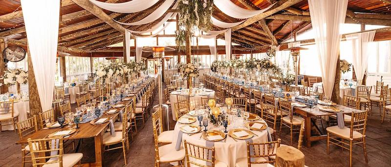 Paradise Cove lakeside ceremony with palm trees and stunning Florida sunset over Lake Bryan